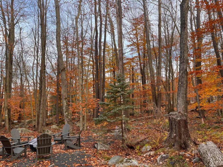 Stylish And Cozy Cabin, Walking Distance To Big Bass Lake Gouldsboro 외부 사진